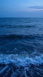 Tidal Dream