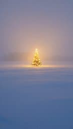 Winter Silence