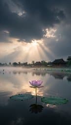 Tự Tại Giữa Nghịch Cảnh