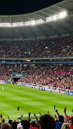 Stadium Roar