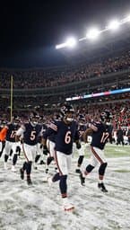 Bears 2026