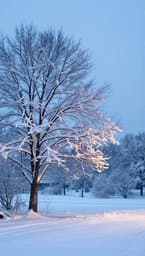 Winter's Aesthetic