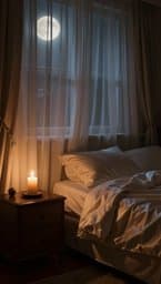 Velvet Night