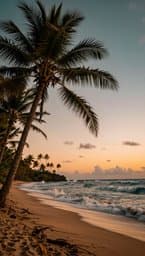 Island Groove
