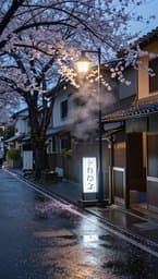 Tokyo Rainy Afternoon