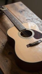 Una Guitarra