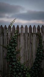 Fading Lines
