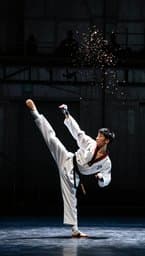 Poomsae Fury