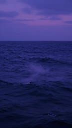 Primordial Dream