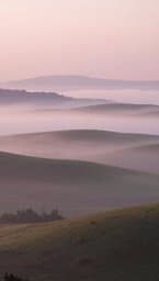 Muted Hush