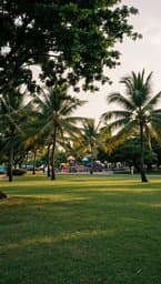 Tropical Afternoon Serenity