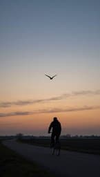Camino y Silencio
