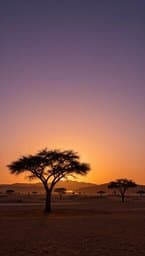 Desert Mirage
