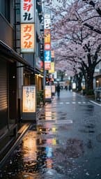 Tokyo Rainy Afternoon