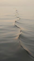 Enduring Silence