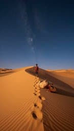 Nylon Horizons