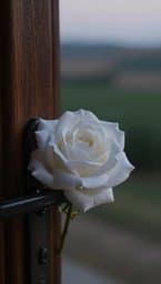 Rosa di Stoffa per Milù