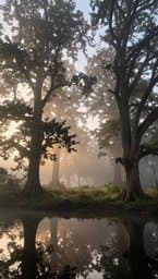 Silent Drift