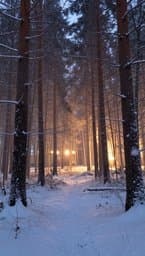 Silent Winter Dreams