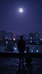 Noche Despierta