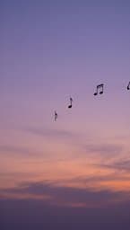 Harmonic Echo
