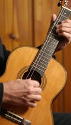 Requinto Speed