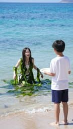 Algae & Appetites
