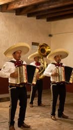 Tuba Roots