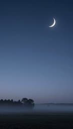 Moonlit Dreams