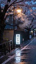 Tokyo Rainy Afternoon
