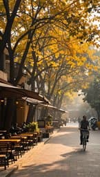 Morning Hanoi