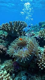 Deep Currents