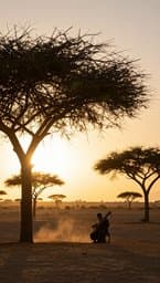 Desert Dawn Meditation