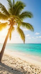 Island Sunshine