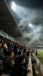 Real Palmilla: Hinchada Fiera