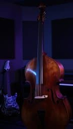 Bass Vein