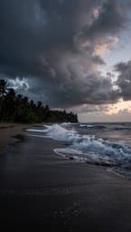Rising Tide