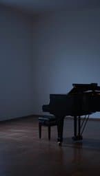 Fading Echoes