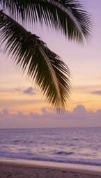 Island Heartbeat