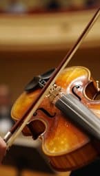 String Arrangement