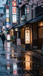Tokyo Rainy Afternoon
