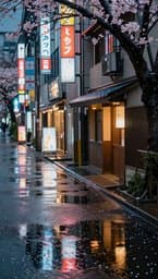 Tokyo Rainy Afternoon