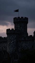 Crown of Ash