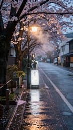 Tokyo Rainy Afternoon