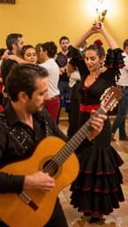 Flamenco Fire
