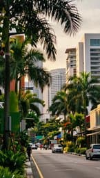 Singapore Groove
