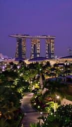 Singapore Nights