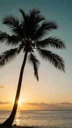 Island Breeze