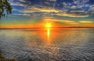 Soft Sunlight
